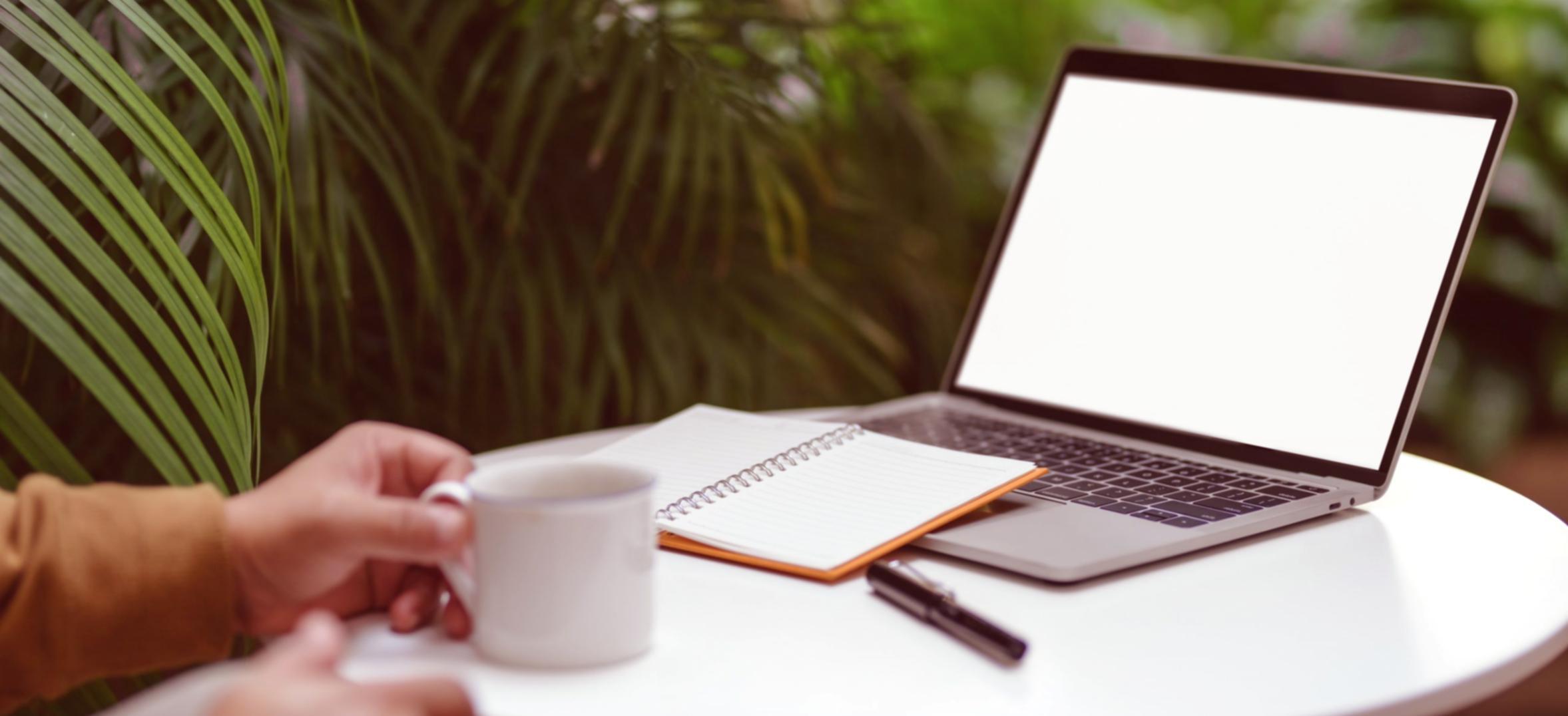 Profesyonel SEO eğitim materyalleri ve kaynaklar